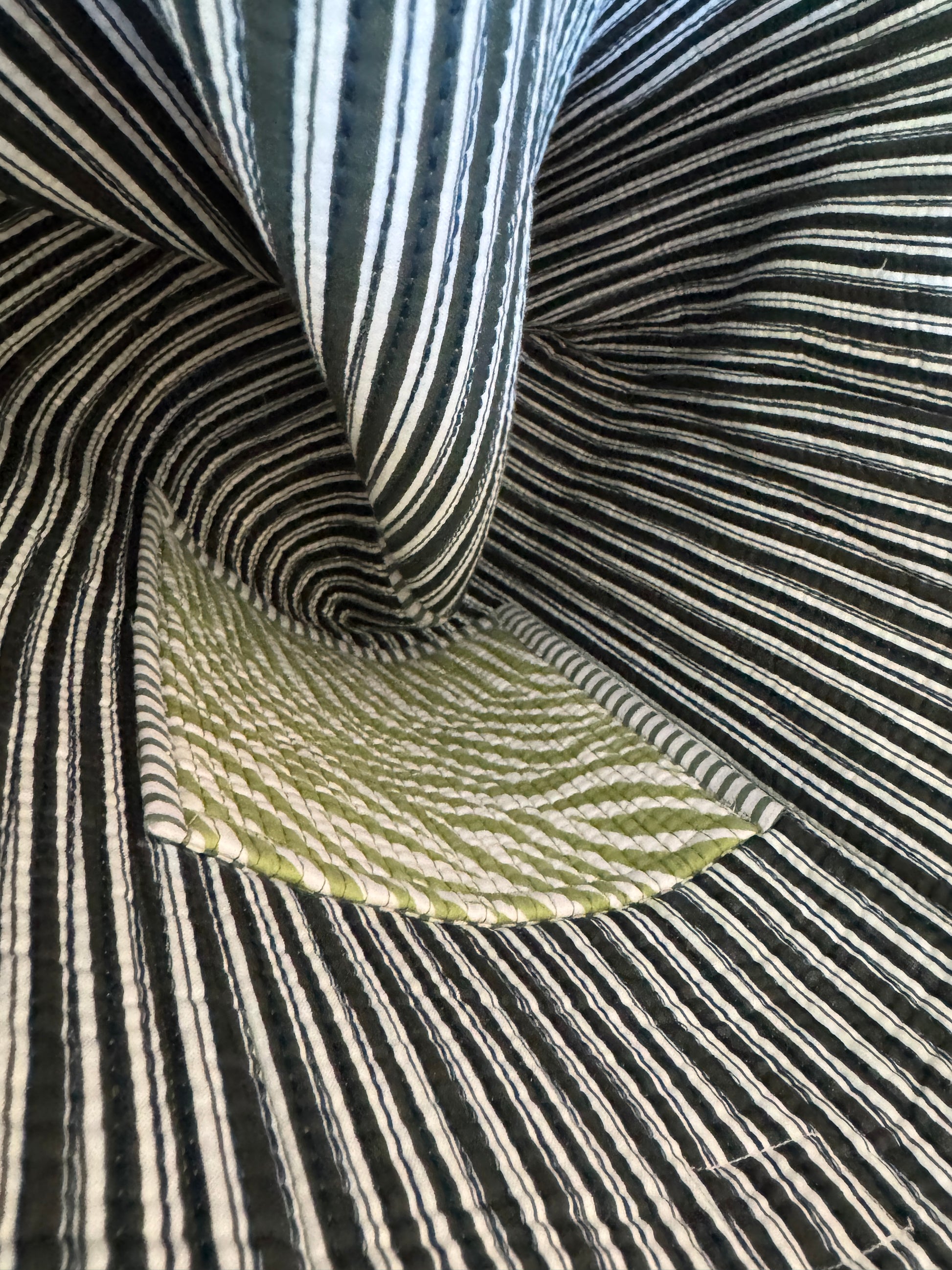 Green Zebra Tote image 1